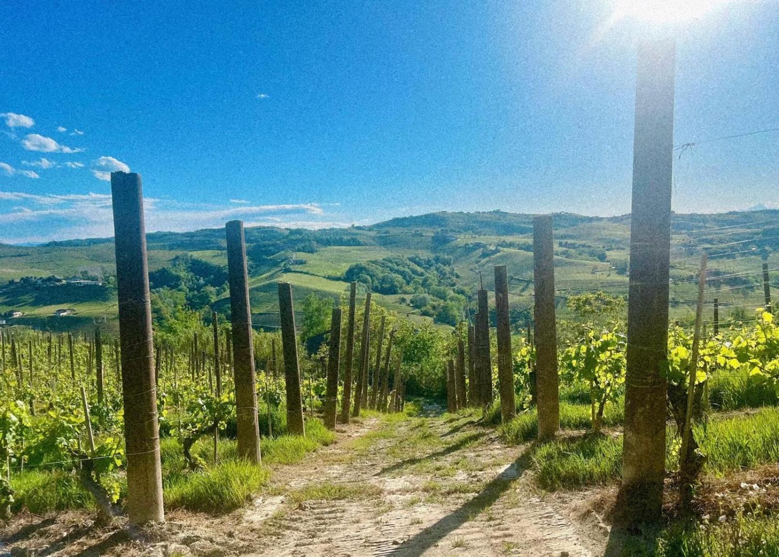 Calosso Wine View Escape Екстер'єр фото
